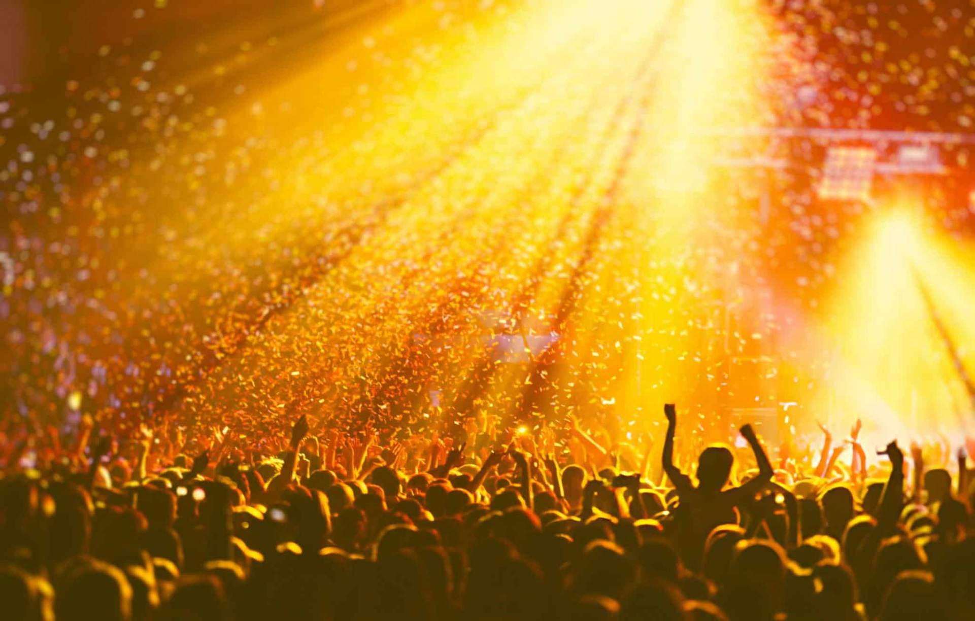 Concert-Chauffeured-Limos-Enjoy-VIP-Concert-Travel