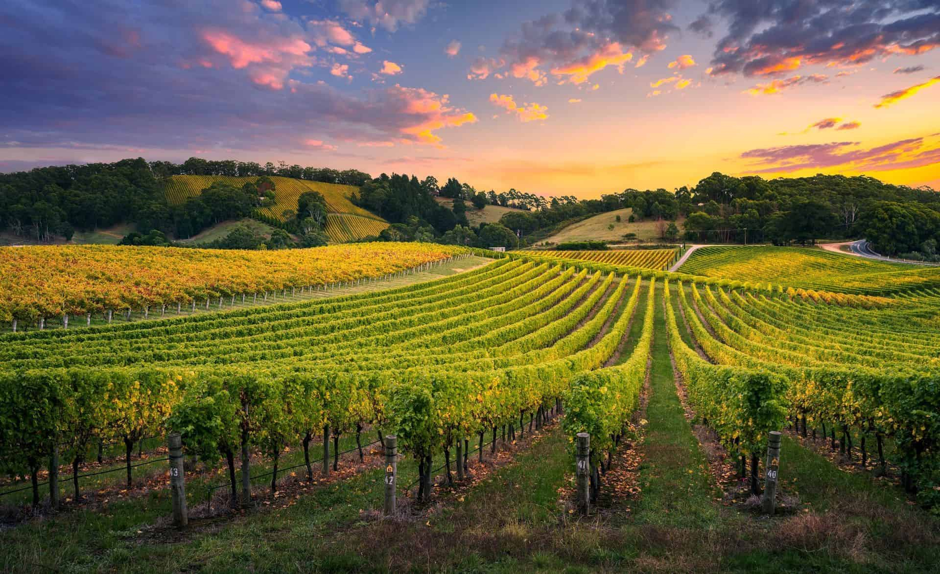 Portland-Wine-Tour-Service
